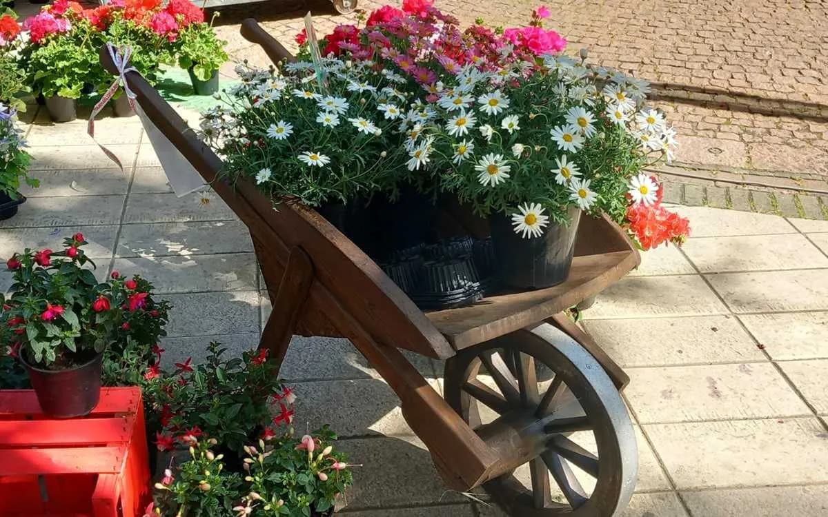 Mercatini di Primavera